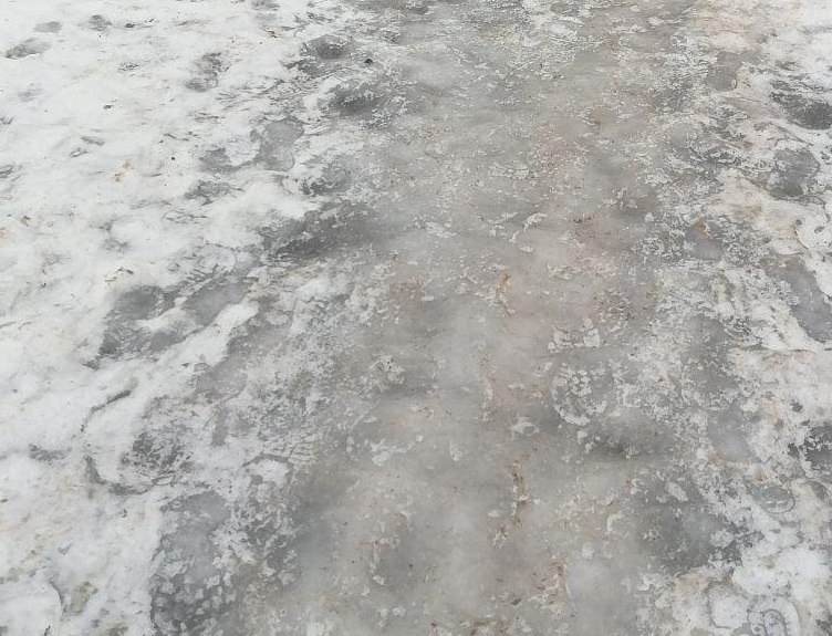 Тысяча воронежцев пострадали от гололёда за неделю