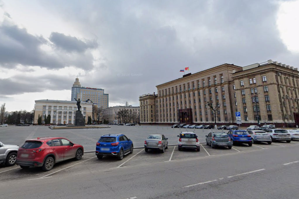 Фейки про митинг партии «Яблоко» в Воронеже распространяют в соцсетях