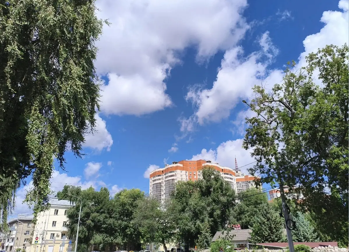 Последние дни лета в Воронежской области будут прохладными и почти без осадков