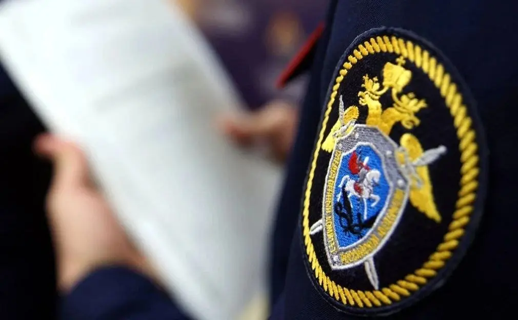 Следственный комитет назвал ночную атаку БПЛА на Воронежскую область терактом