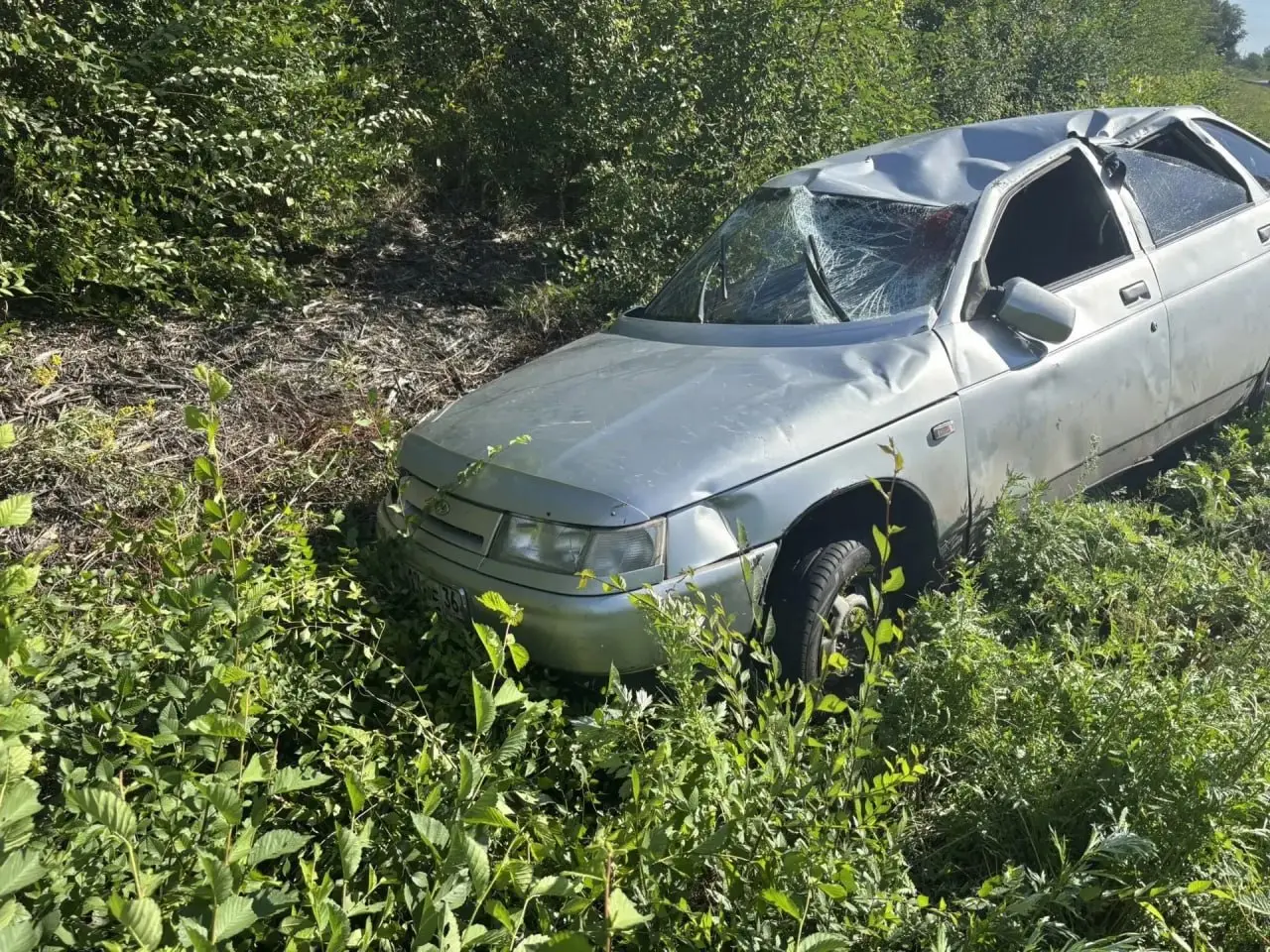 Воронежский автомобилист сбил косулю и попал в больницу