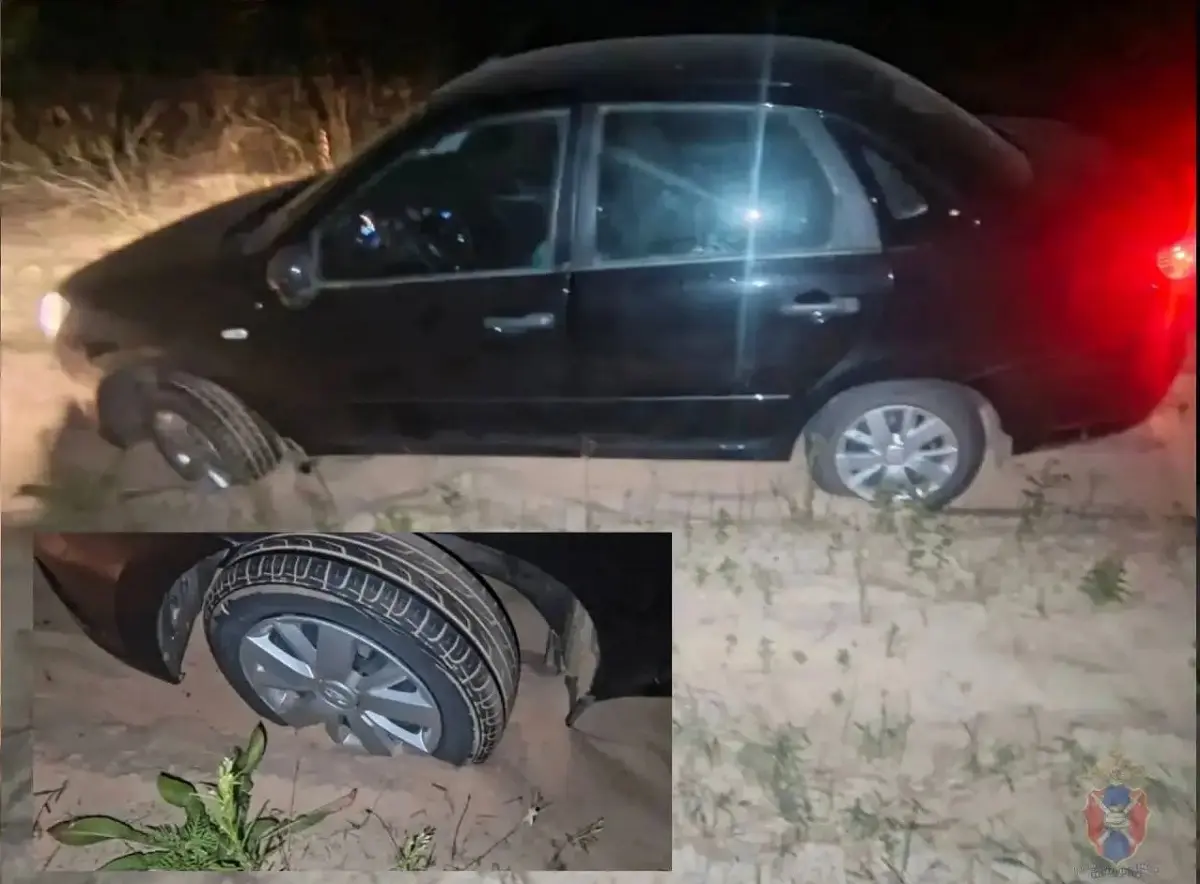 Автомобилист доверился ночью навигатору, очутился в лесу и застрял в песках в Воронежской области