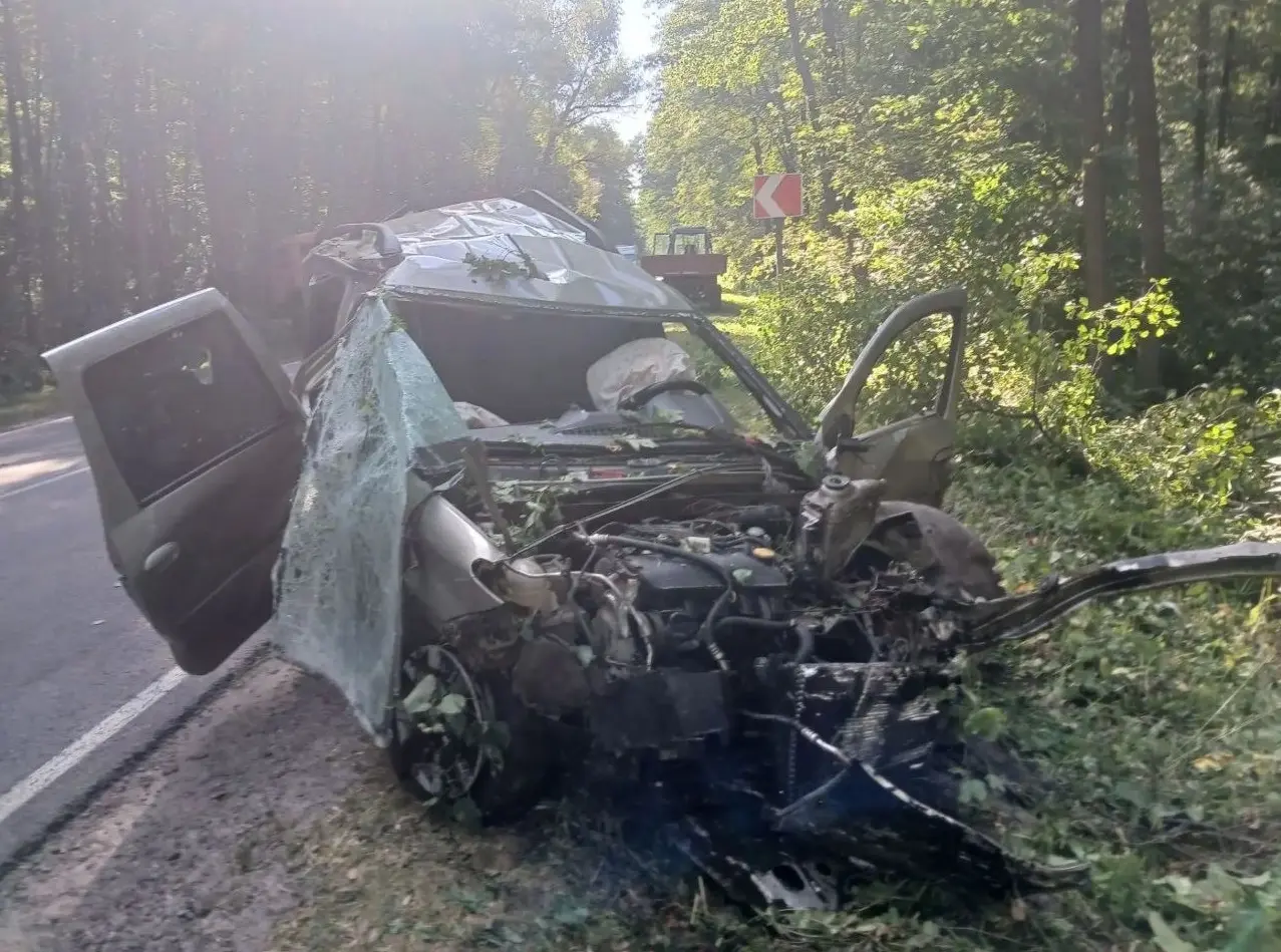 Женщина за рулём «Лады» вылетела в кювет в Воронежской области: погибли 2 человека