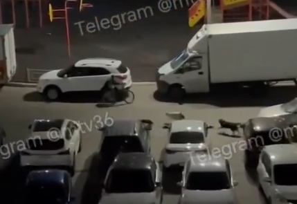 Очевидцы: в Воронеже ребенку пришлось бросить велосипед, чтобы убежать от собак