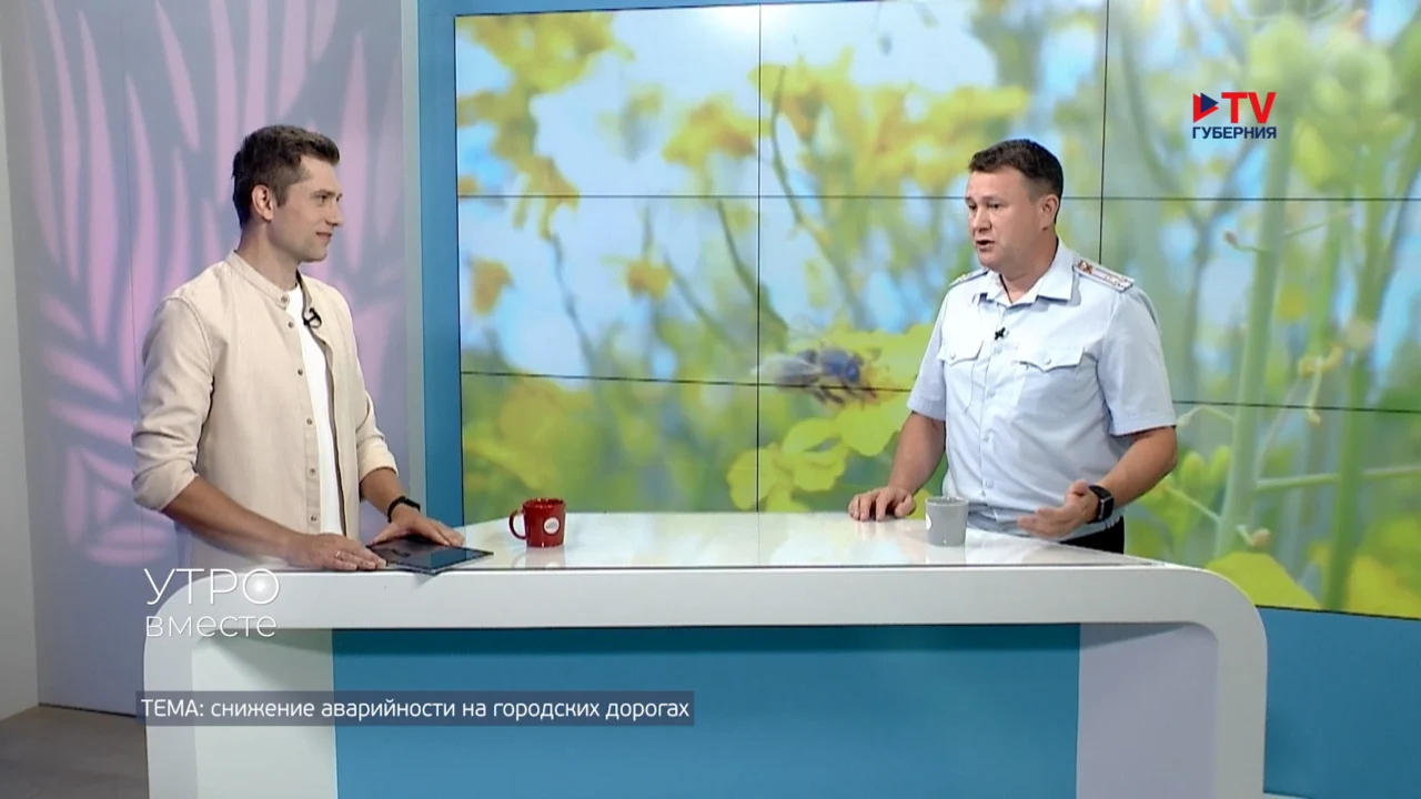 Снижение аварийности на воронежских дорогах