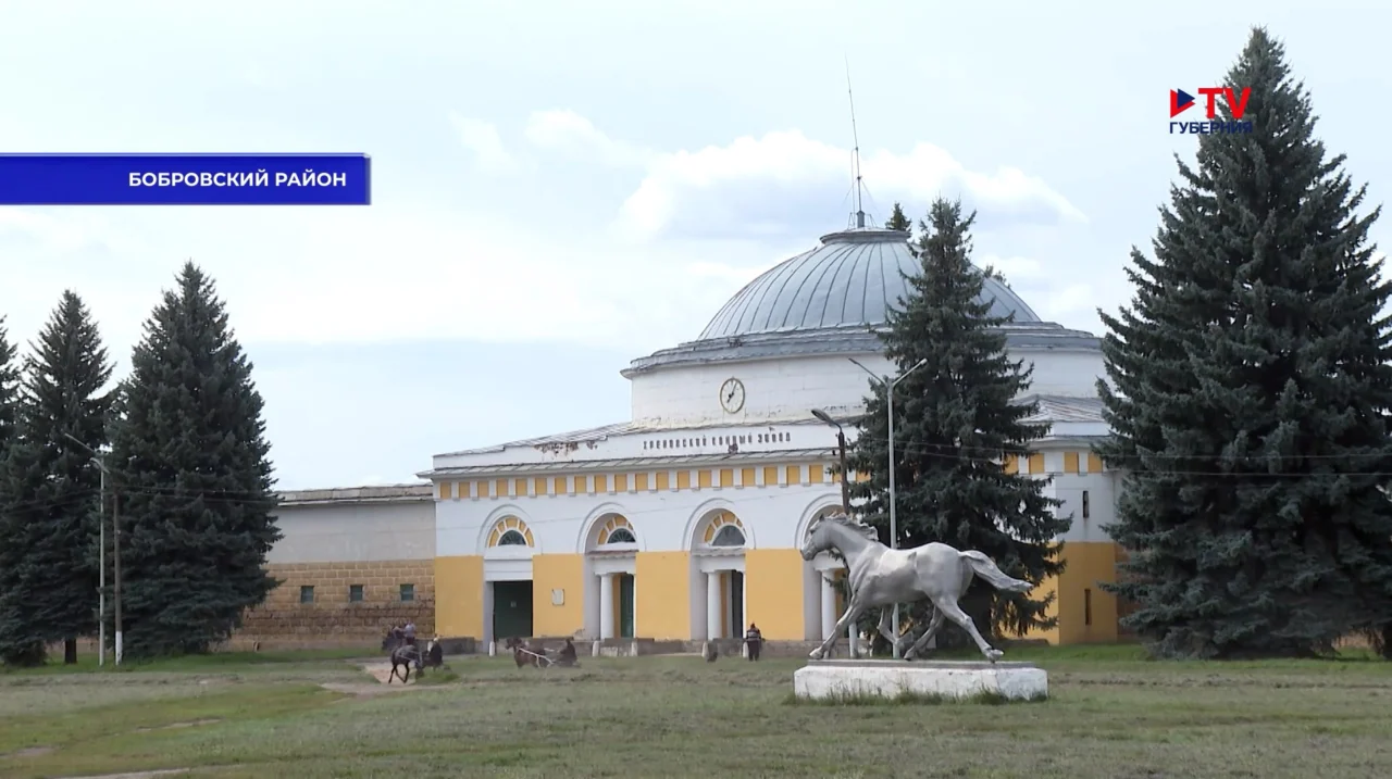 Хреновской конный завод преобразят к 250-летию