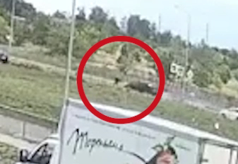 Момент наезда авто на ребёнка под Воронежем попал на видео