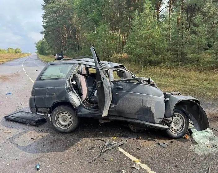 Водитель легковушки погиб в ДТП, выехав на встречку на воронежской трассе