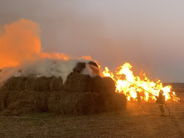 Огонь уничтожил 225 тонн сена на окраине воронежского села