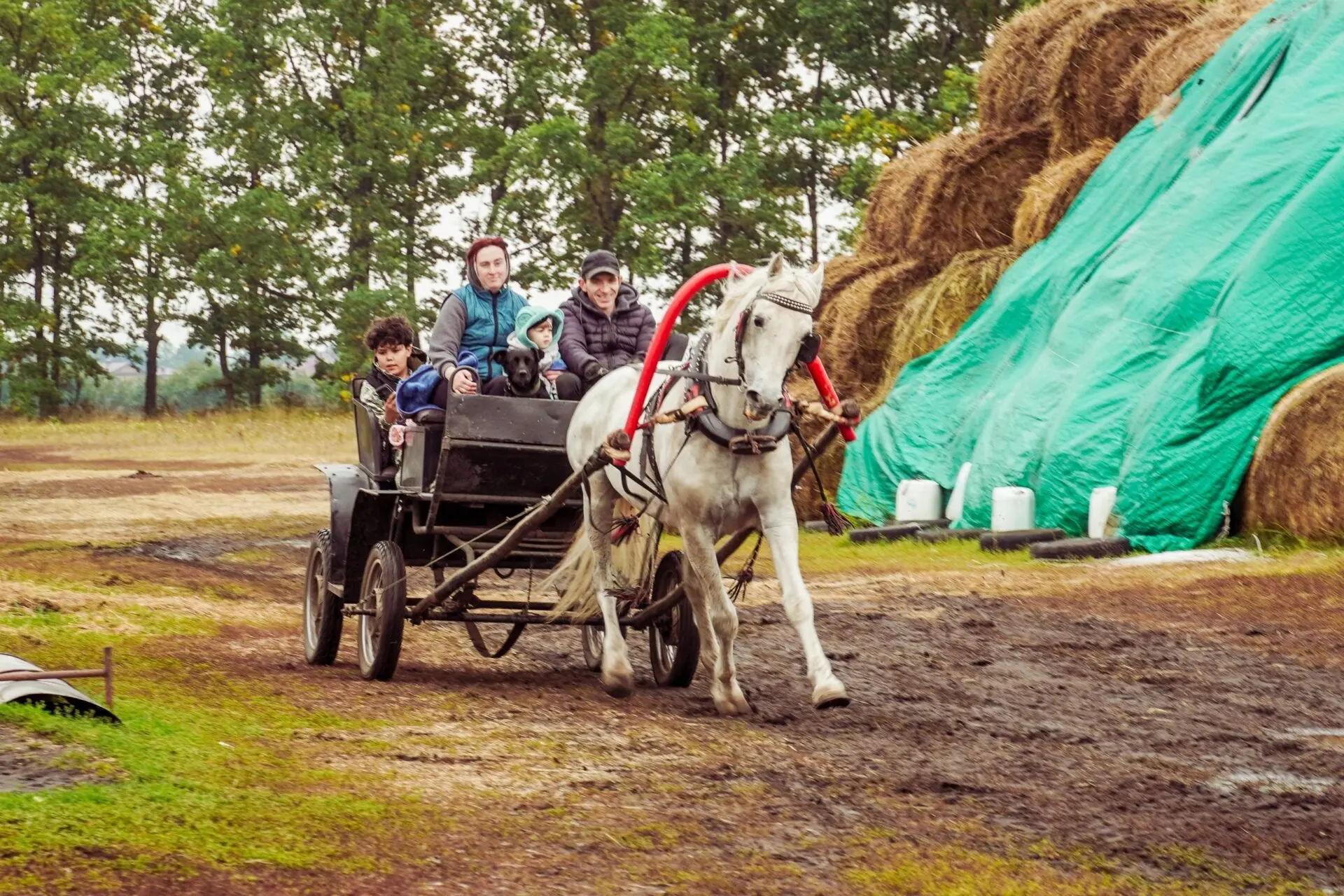 Воронежские сторонники «Единой России» организовали для детей из приюта «Покров» экскурсию на ипподром
