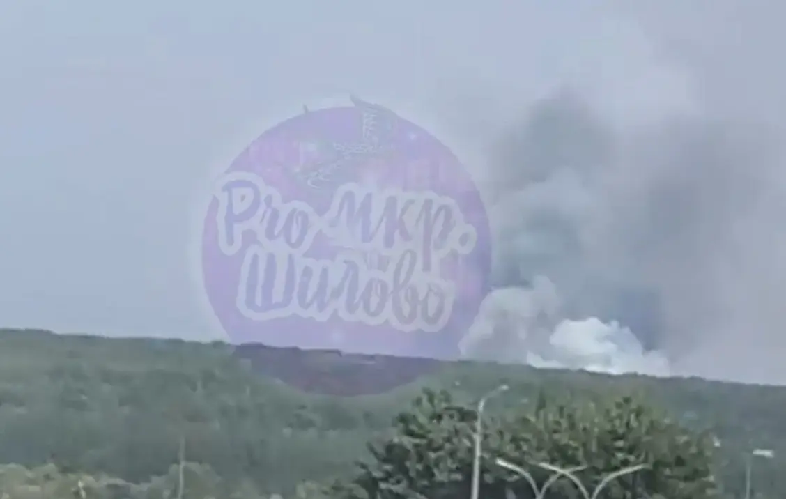 Появилось видео мощного пожара у Шилово в Воронеже