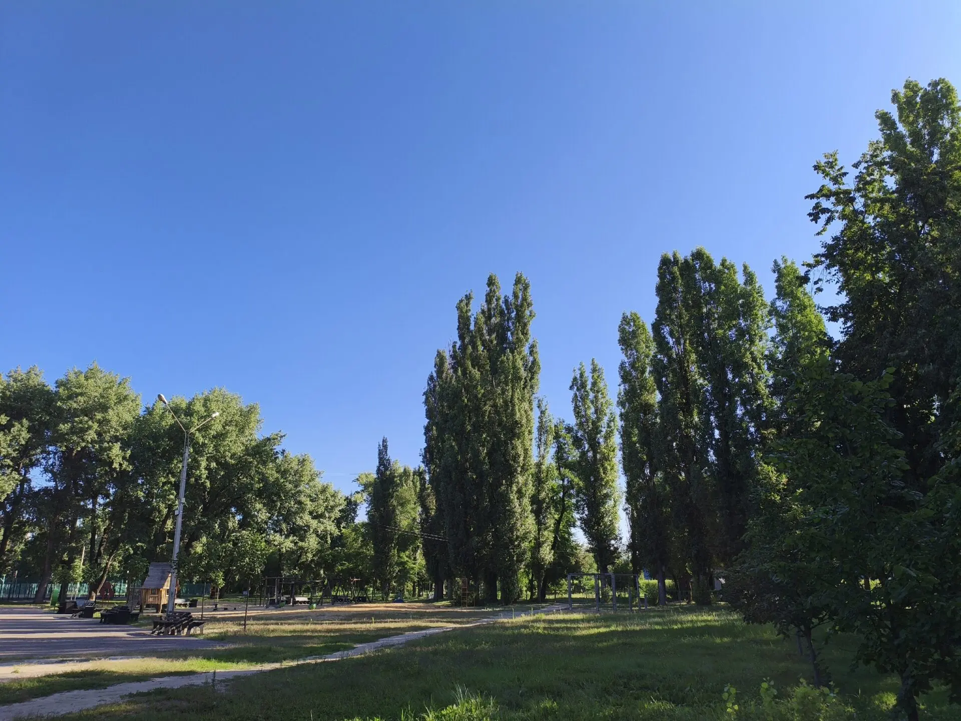 Прогноз погоды в Воронеже на четверг, 3 сентября