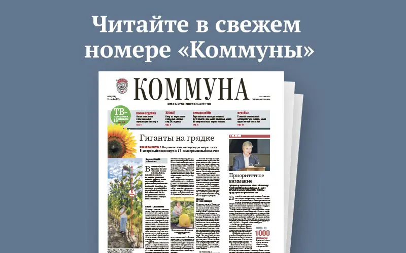 «Коммуна» от 30 сентября 2026 года: какие изменения в законах ждут воронежцев в октябре и кому по новым условиям положена семейная ипотека под 2%