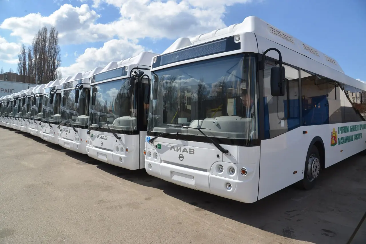 Воронежцы не смогут добраться до фестиваля «Город-Сад» на автобусе