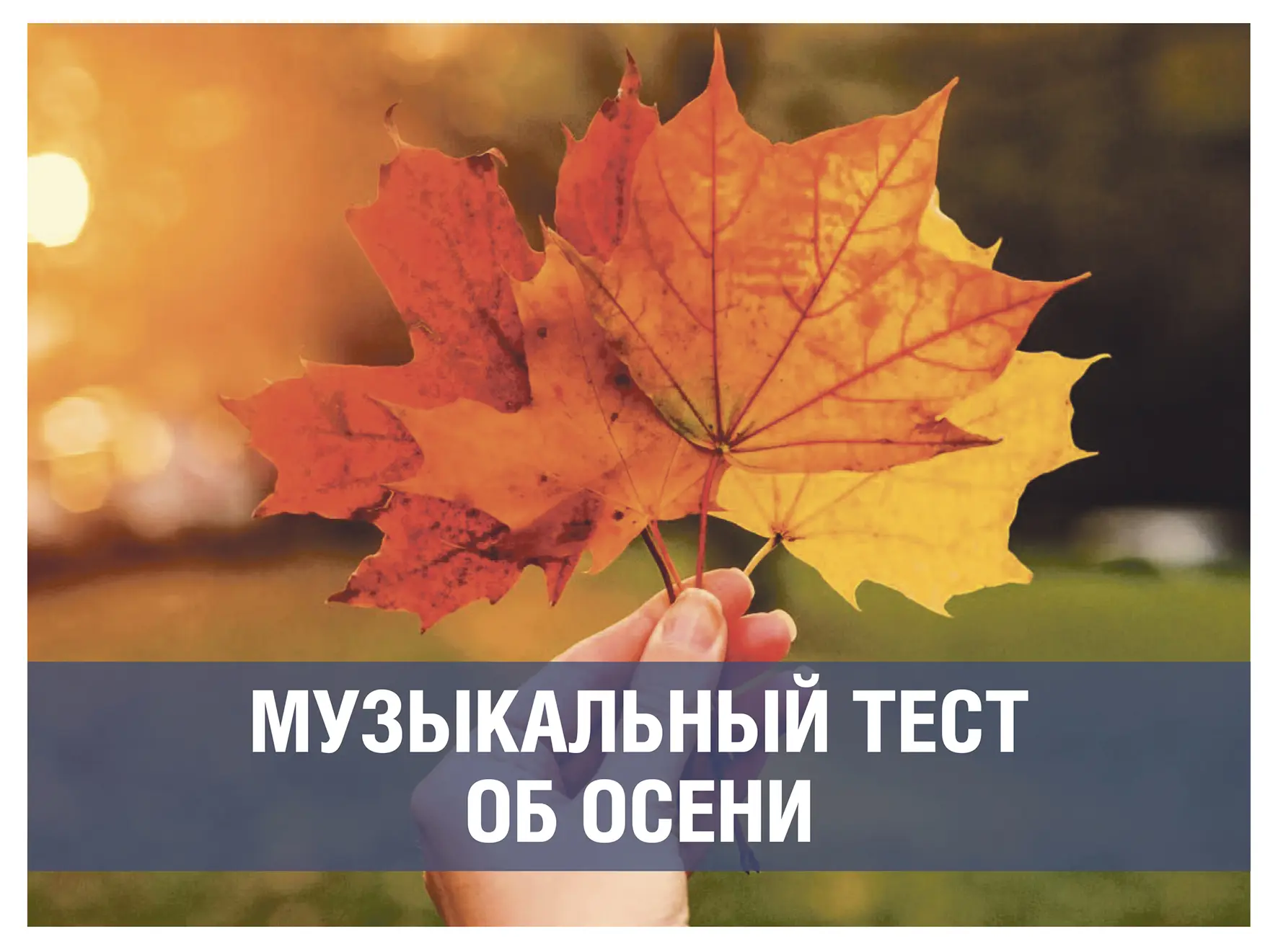 «Я спросил у ясеня»: лучшие советские песни про осень