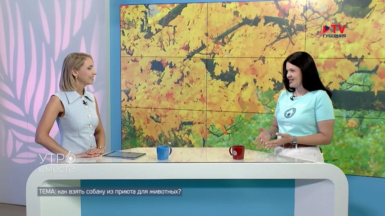 Алабай Жасмин ищет хозяина