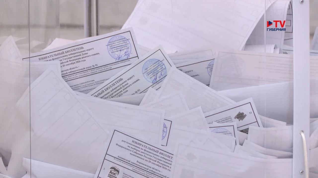 Фейки о воронежских выборах разоблачили благодаря общественным наблюдателям
