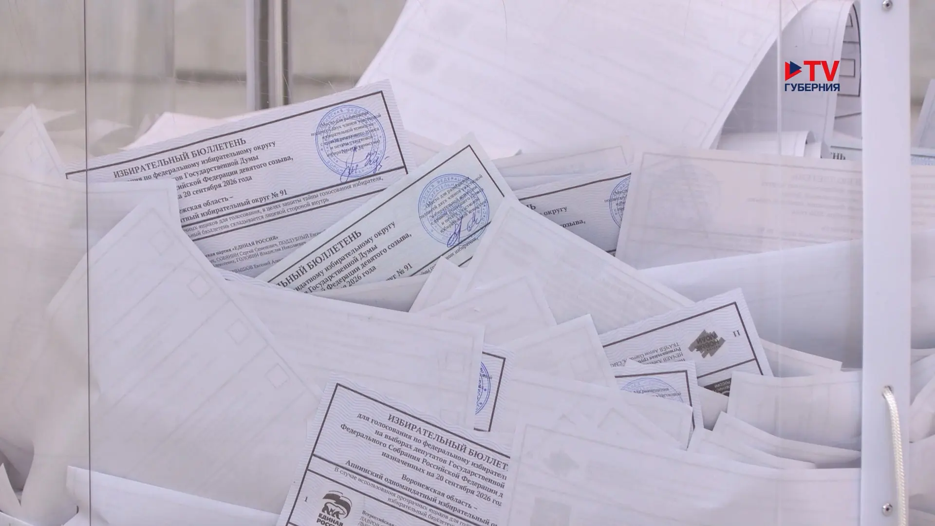 Фейки о воронежских выборах разоблачили благодаря общественным наблюдателям