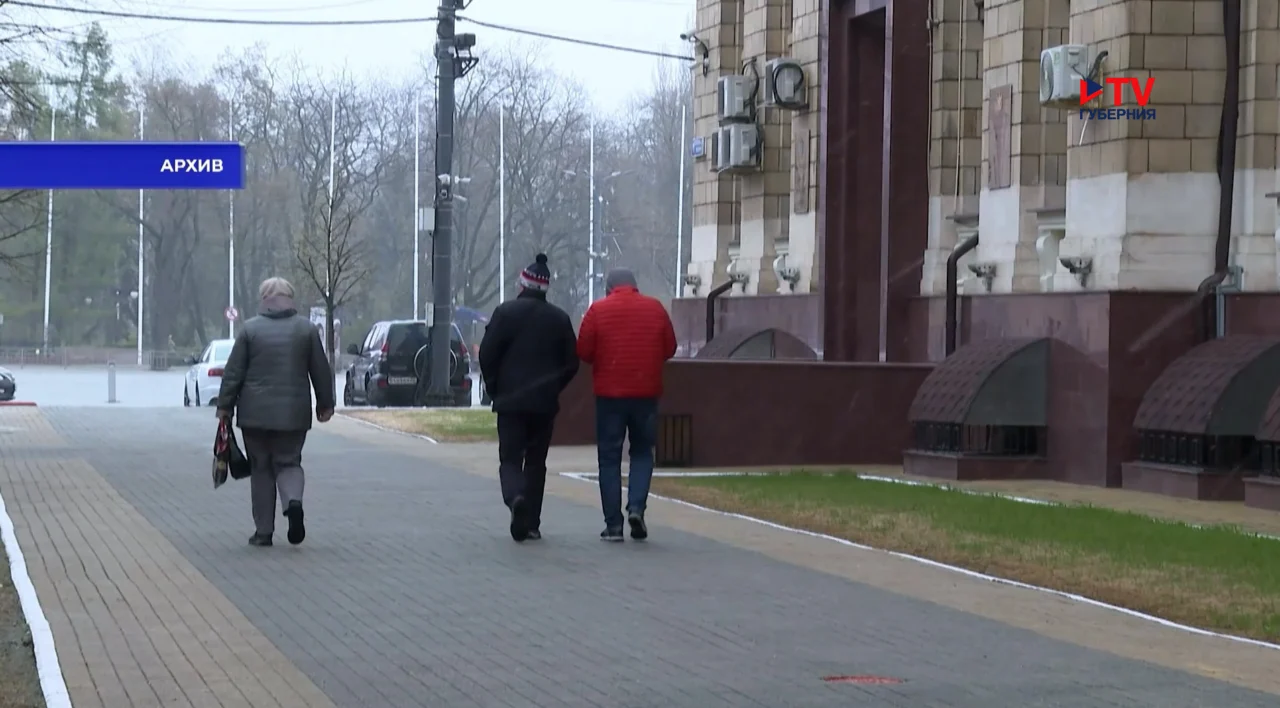 Глава Воронежского гидрометцентра посоветовал землякам обзавестись электрообогревателями
