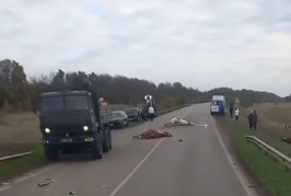 Грузовик снёс стадо коров на воронежской трассе