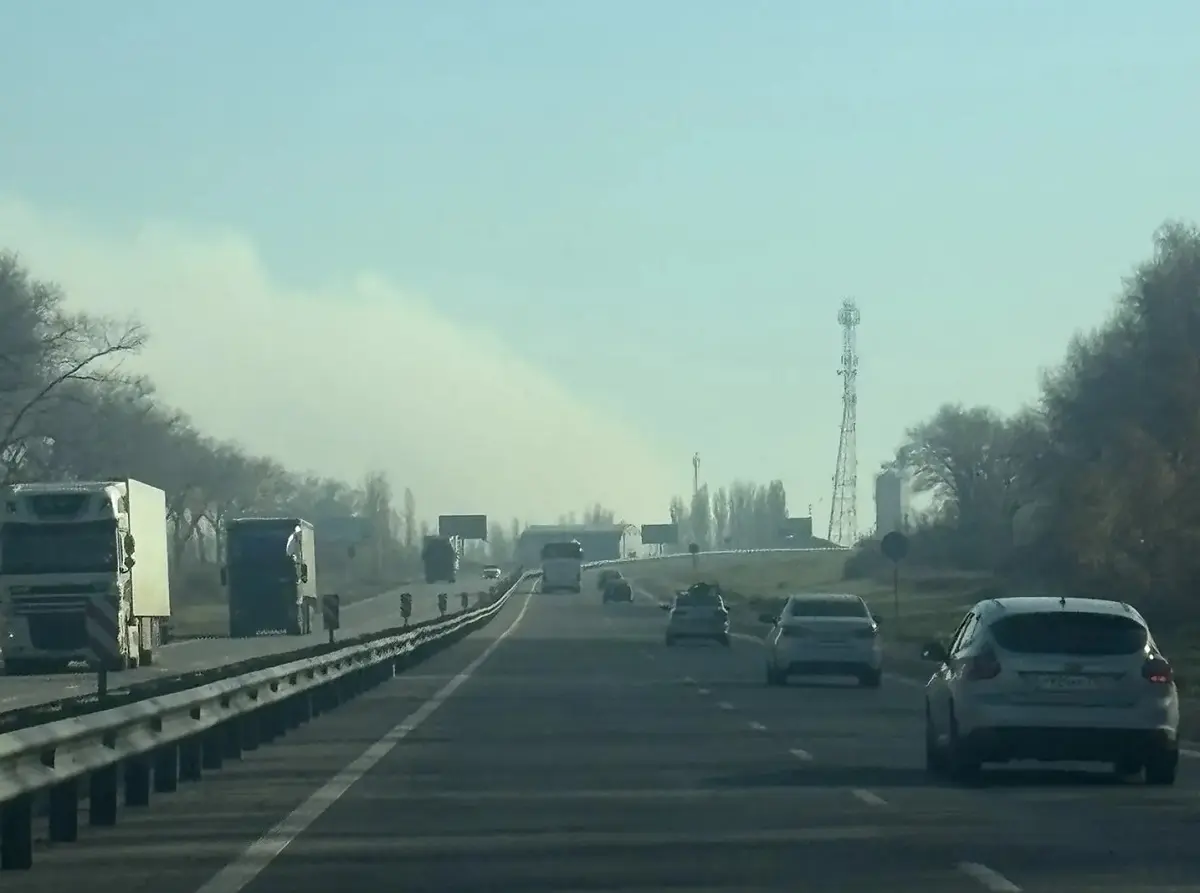 Крупный пожар в селе под Воронежем сняли на видео