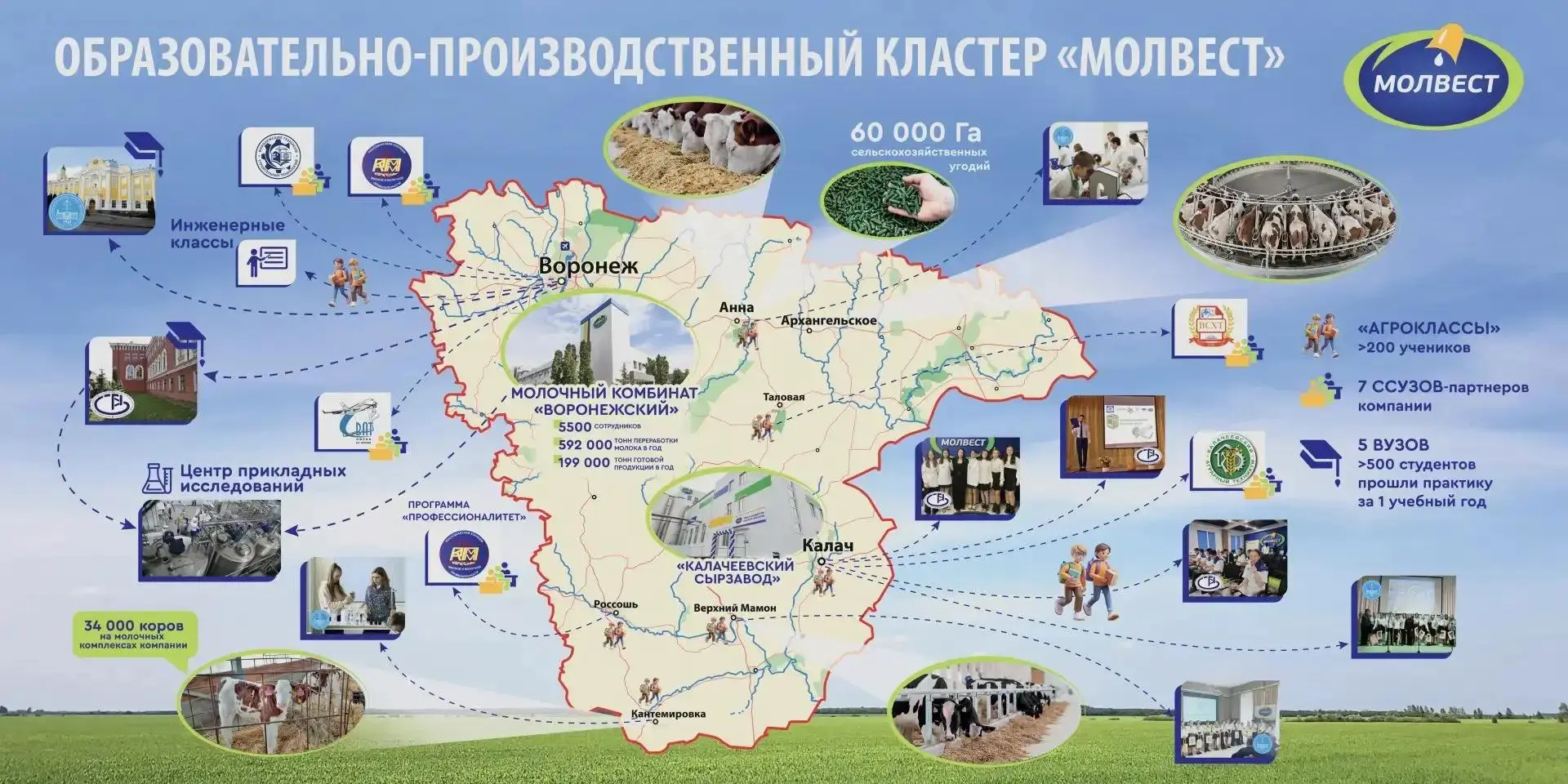 «Молвест» расширяет профориентацию школьников в Воронеже