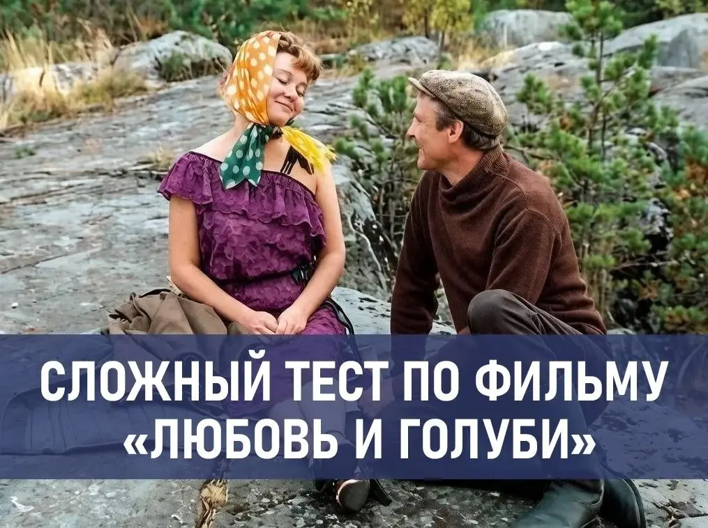 «Людк, а Людк!»: сложный тест по фильму «Любовь и голуби»