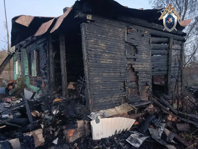 В воронежском селе вспыхнул дом из-за обогревателя: погибли две пенсионерки