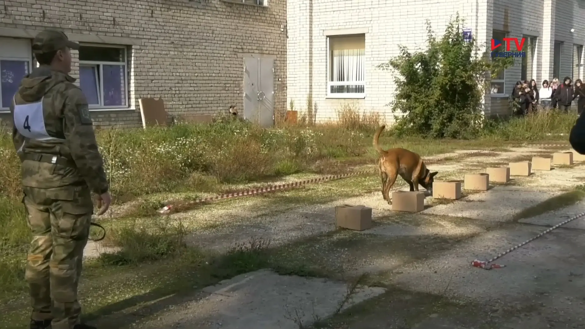 Губернские новости. День 7.10.2026