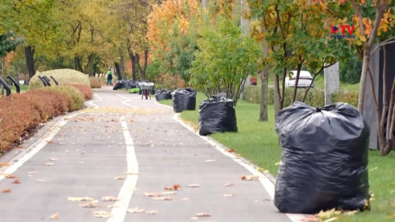 Губернские новости. День 20.10.2026