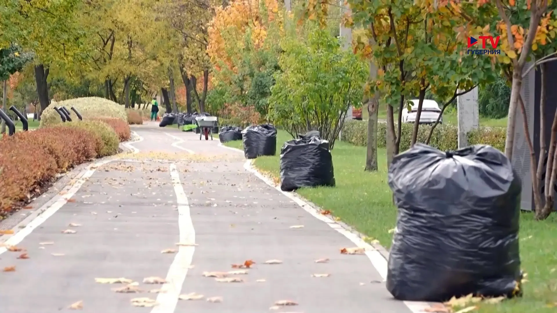 Губернские новости. День 20.10.2026