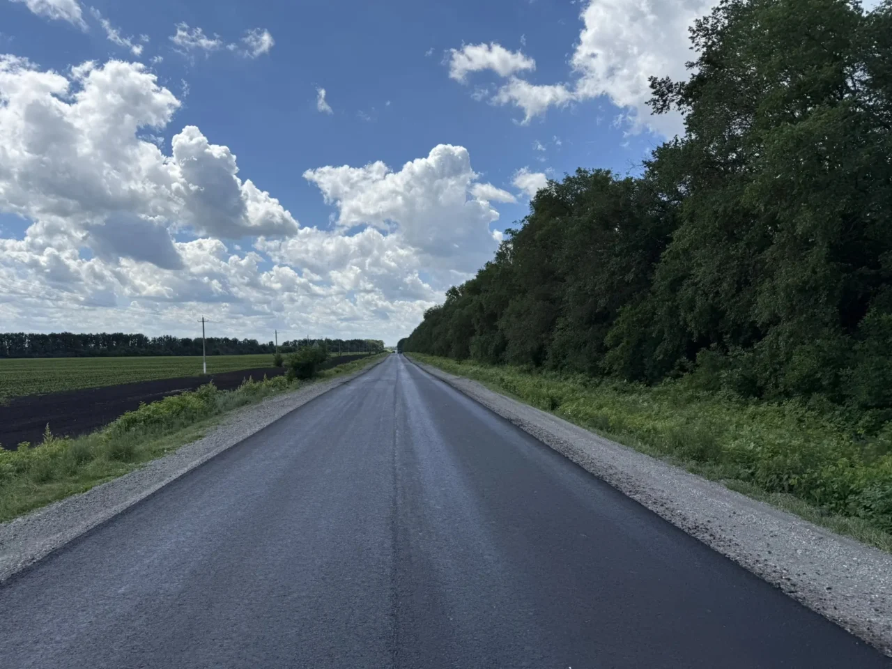 Воронежских автомобилистов предупредили о перекрытии моста в соседнем регионе