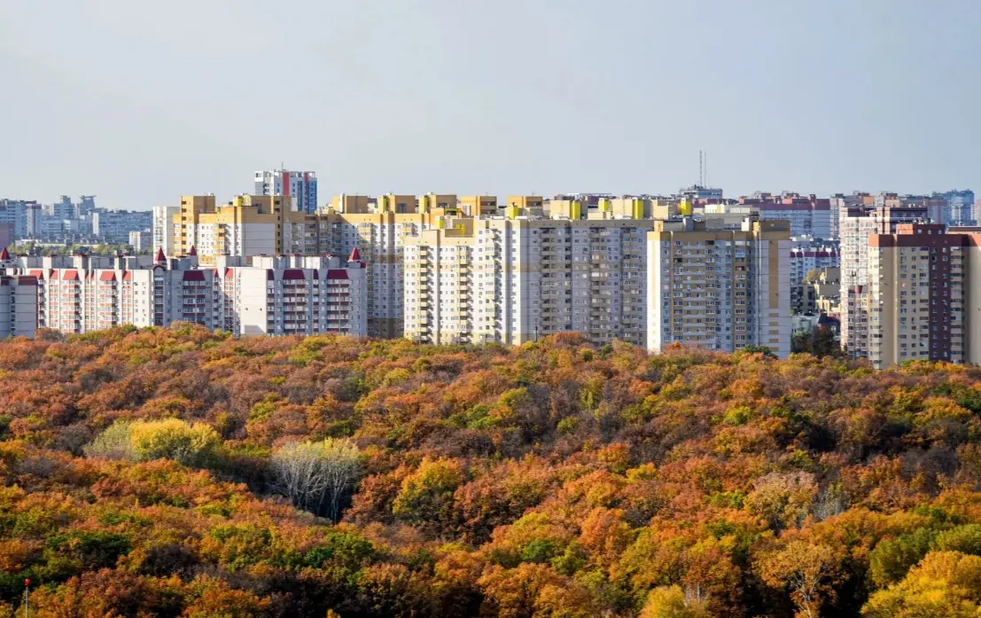 Как отдыхаем в ноябре 2026 года: выходные, рабочие дни и День народного единства