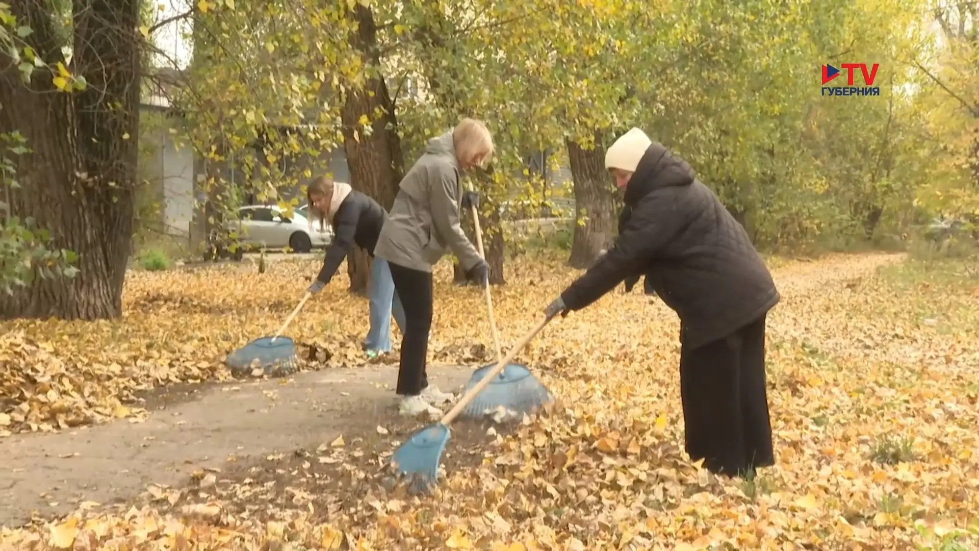 Губернские новости. 24.10.2026