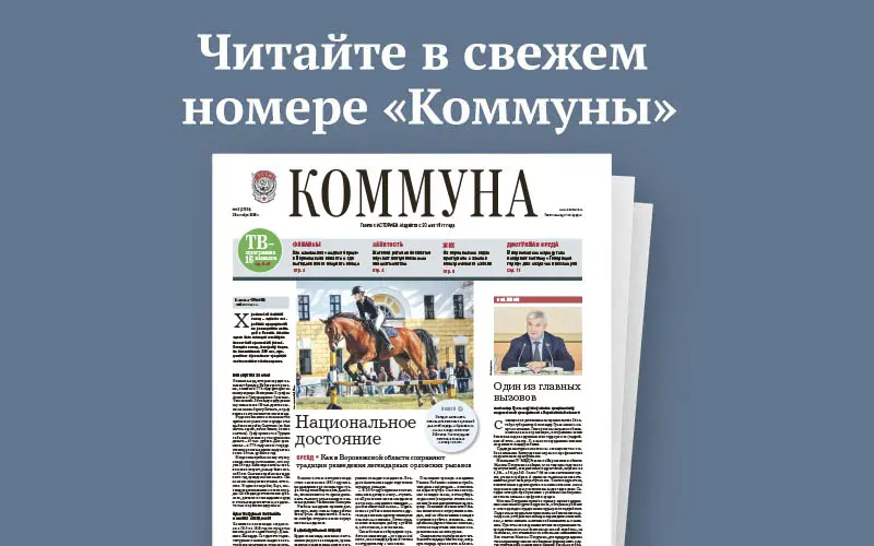 «Коммуна» от 28 октября 2026 года: cколько стоит сварить кастрюлю борща в Воронеже и какие налоги необходимо оплатить до 1 декабря