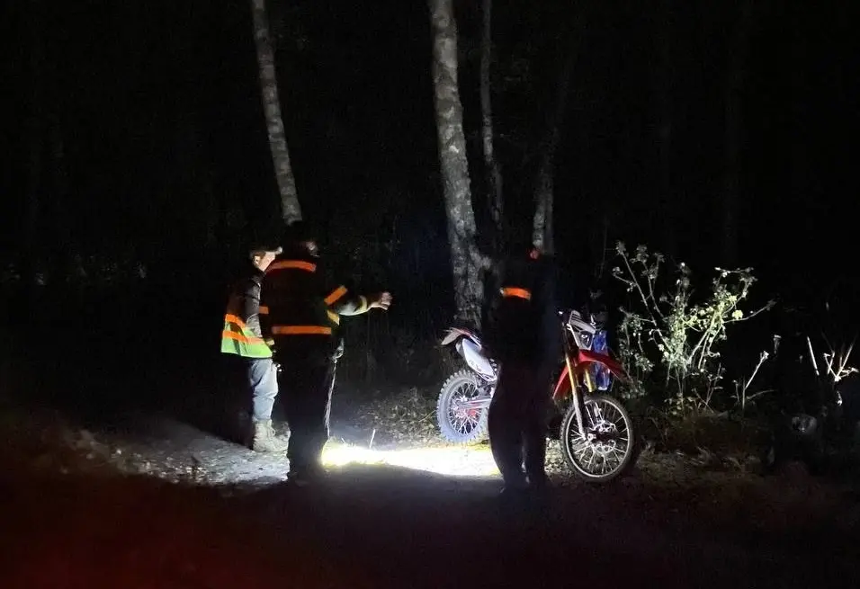 Жительница Воронежской области потеряла мужа-грибника в лесу