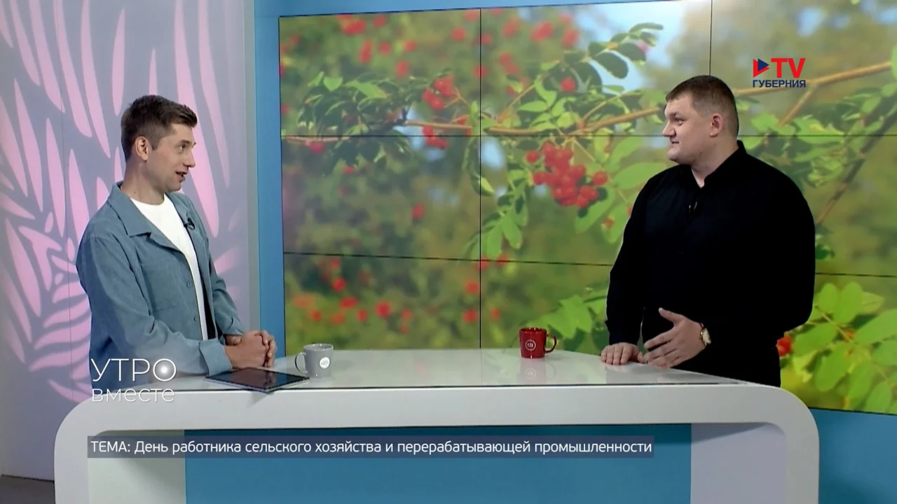 День работника сельского хозяйства и перерабатывающей промышленности в России