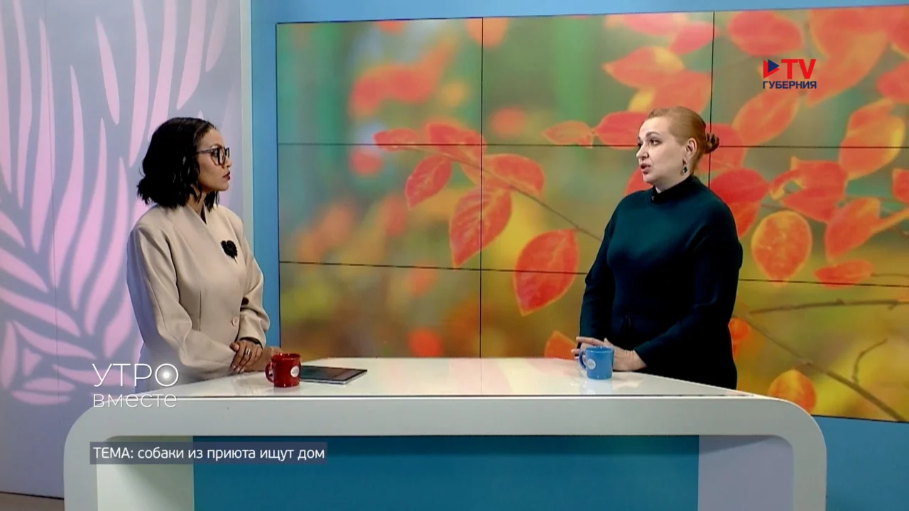 Гость студии: Лилия Глуховская, ветеринарный врач муниципального приюта