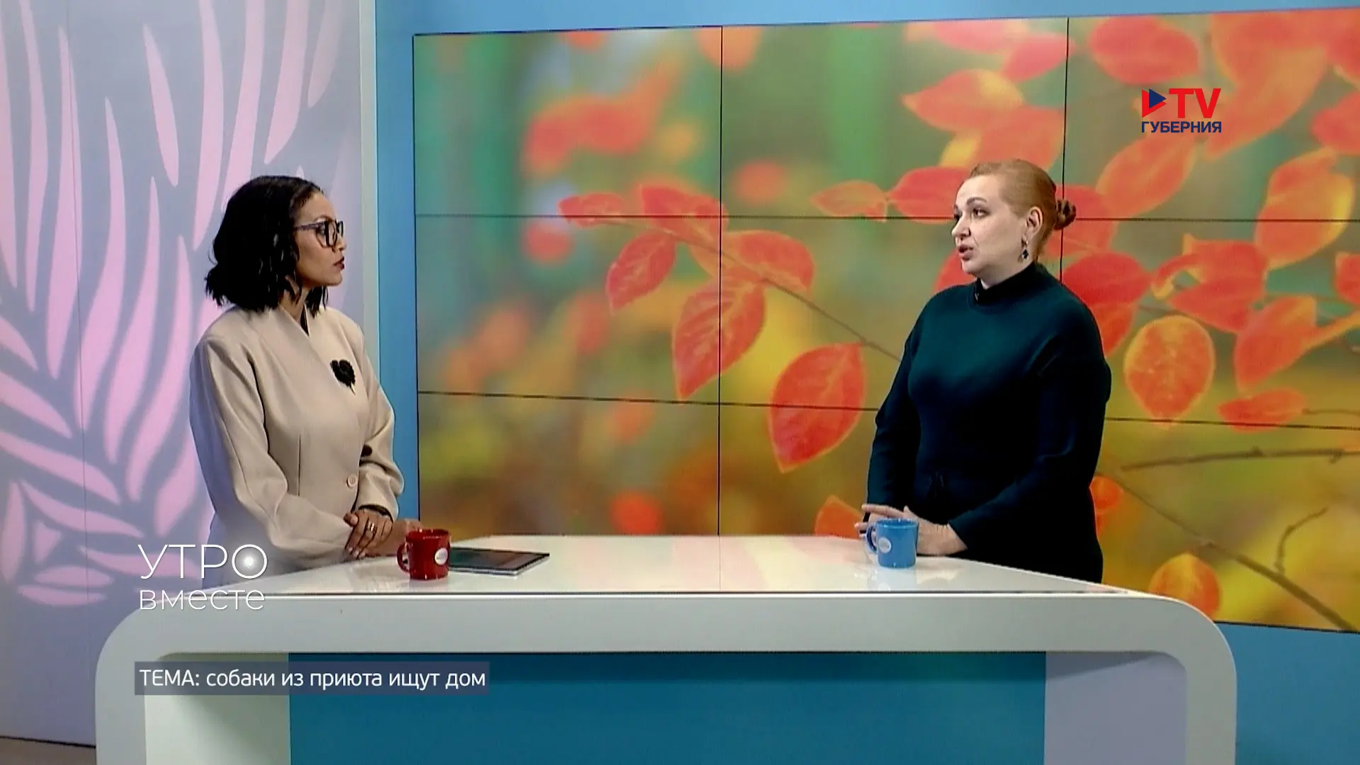 Гость студии: Лилия Глуховская, ветеринарный врач муниципального приюта