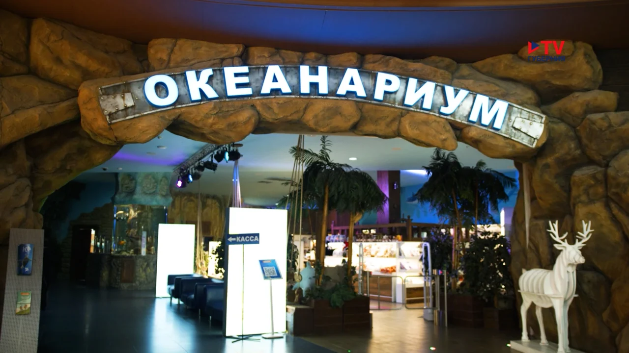15 лет Воронежскому океанариуму!