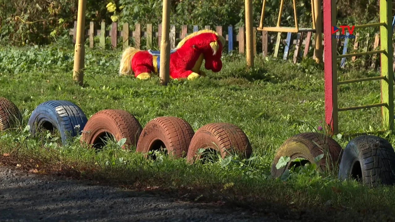 Жительница воронежского села на свои деньги обустроила детскую площадку, а мстительный сосед добивается сноса
