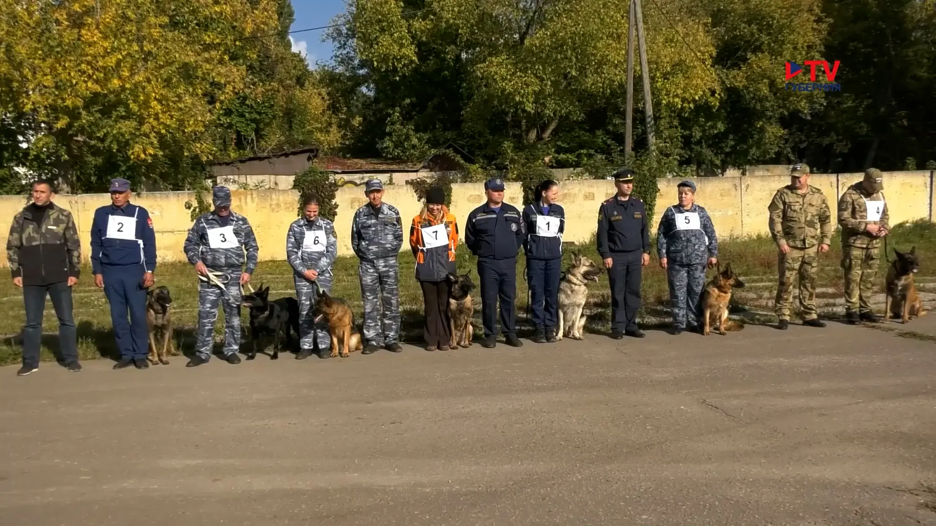 Взрывчатку среди сосисок искали служебные собаки в Воронеже