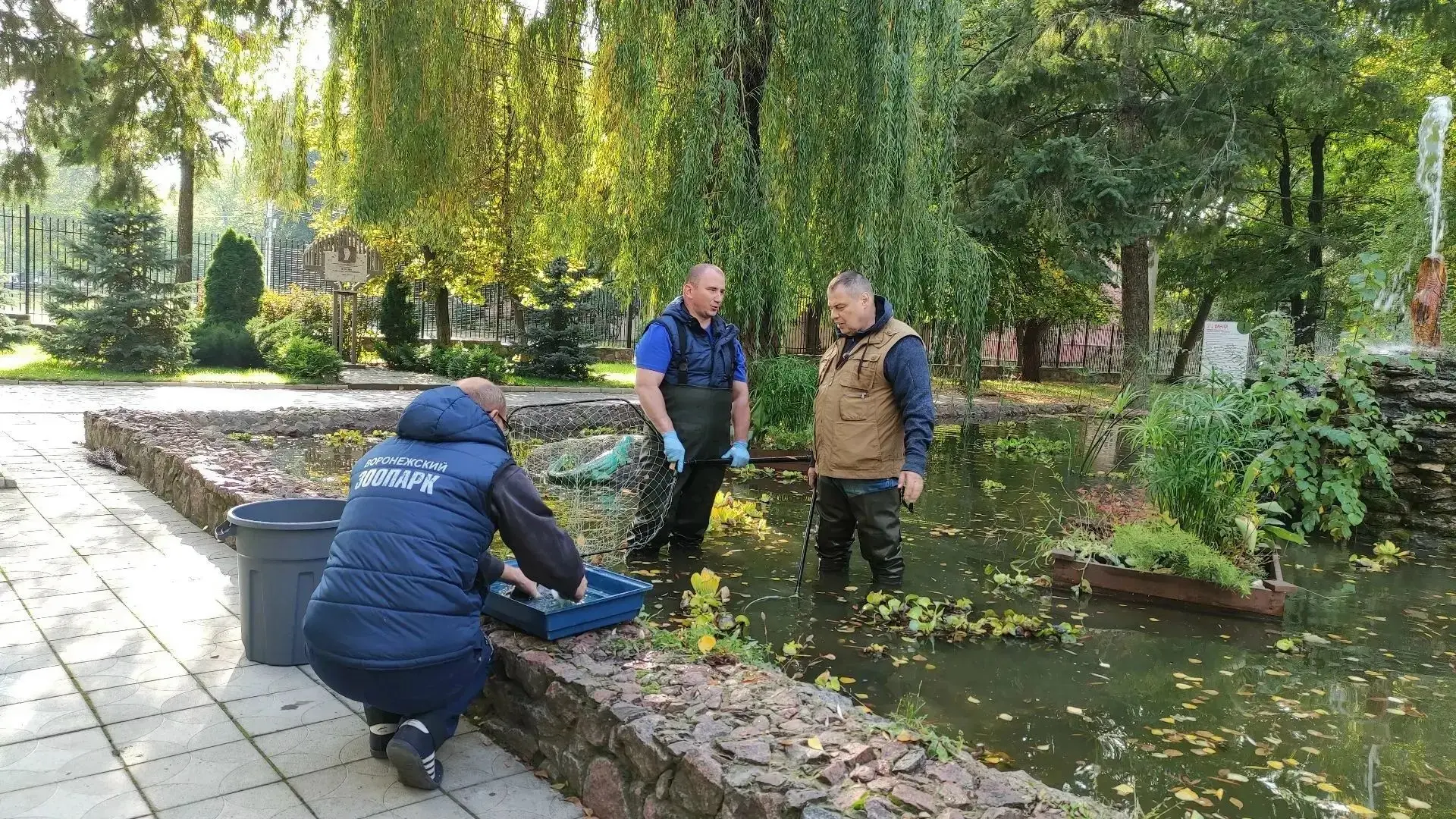 В Воронеже снимают ещё один фильм